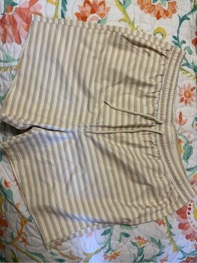 Striped Drawstring Swim Shorts in Vintage Stripe